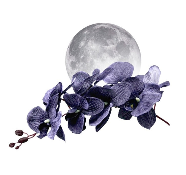 Parfum - ORCHIDÉE NOIRE