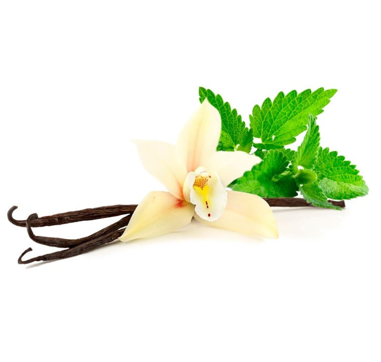 Parfum - PATCHOULI & VANILLE